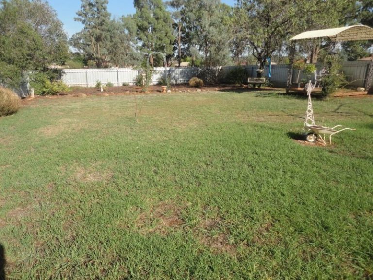 56 Jellicoe Street, Temora NSW 2666 - photo 17