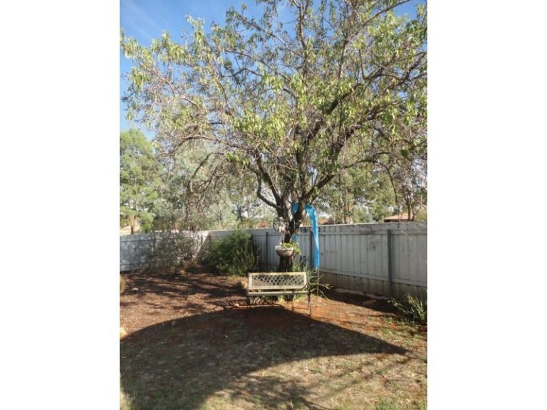 56 Jellicoe Street, Temora NSW 2666 - photo 19