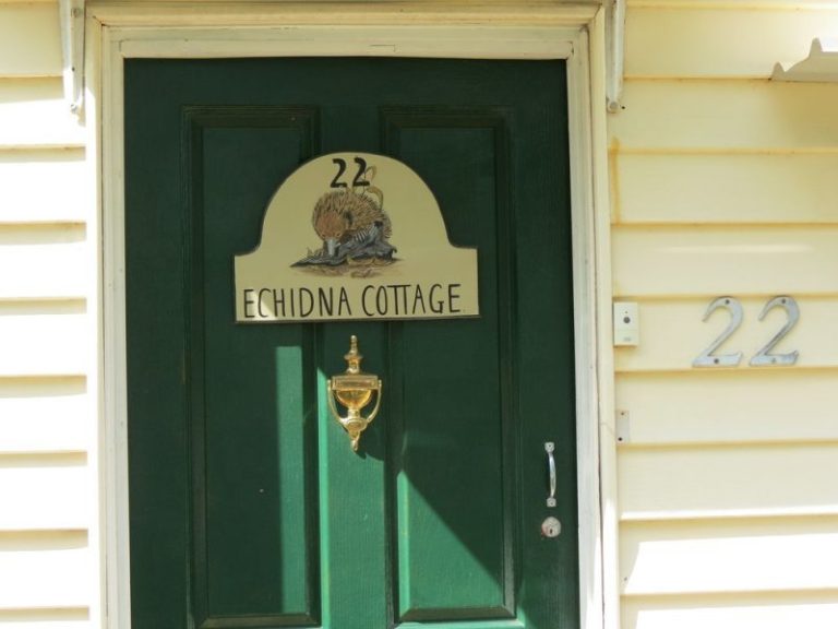 22 Third Street, Quandialla NSW 2721 - photo 17