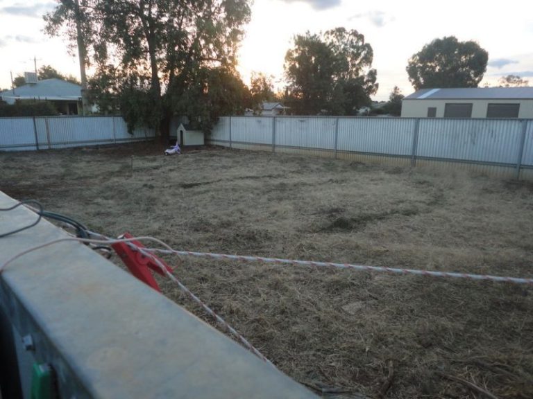 131 Polaris Street, Temora NSW 2666 - photo 25