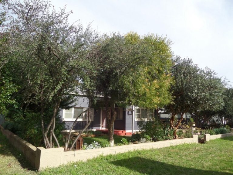 96 Bolton Street, Narrandera NSW 2700 - photo 20