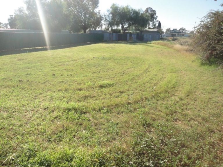 75 Queen Street, Barmedman NSW 2668 - photo 14