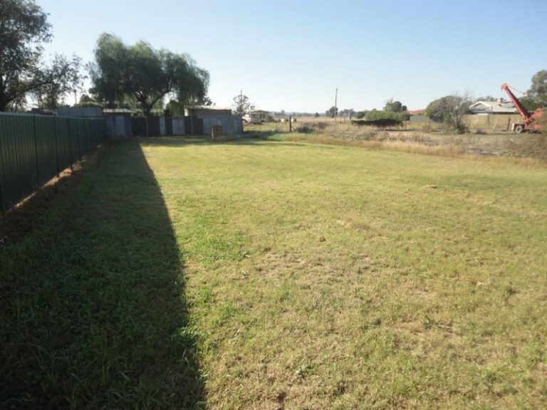 75 Queen Street, Barmedman NSW 2668 - photo 15