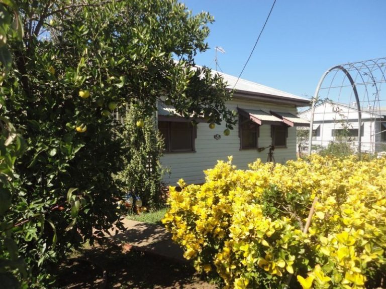 8 Third Street, Quandialla NSW 2721 - photo 4