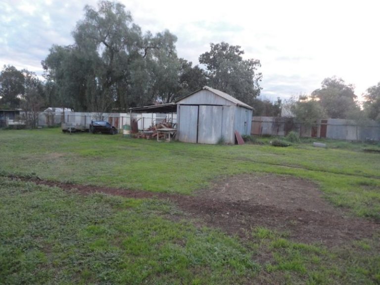 13 Hoskins Street, Stockinbingal NSW 2725 - photo 12