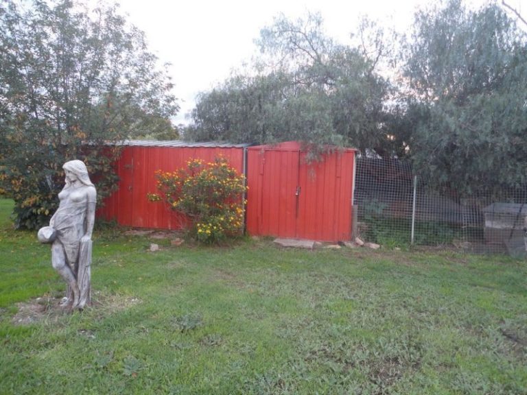 13 Hoskins Street, Stockinbingal NSW 2725 - photo 16