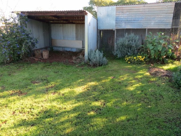 66 Gallipoli Street, Temora NSW 2666 - photo 18