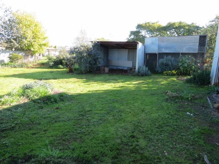 66 Gallipoli Street, Temora NSW 2666 - photo 19