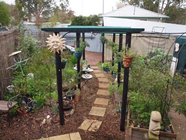 49 Lake Drive, Narrandera NSW 2700 - photo 18