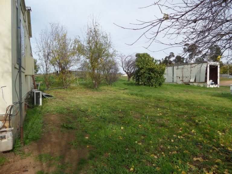 48 Hankinson Street, Narrandera NSW 2700 - photo 4