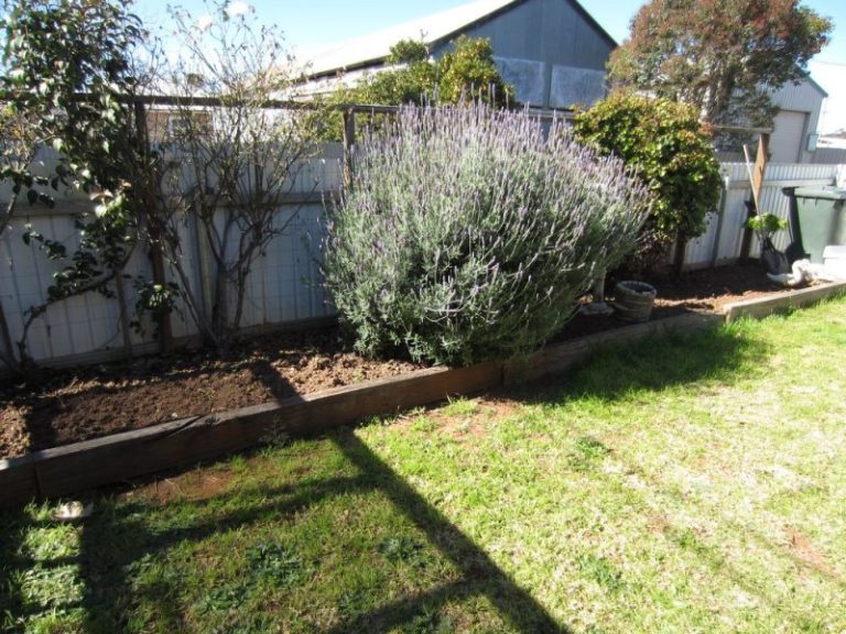4/163 DeBoos Street, Temora NSW 2666 - photo 16