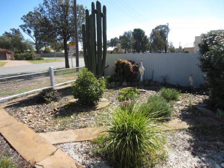 19 Ashton Street, Ariah Park NSW 2665 - photo 20