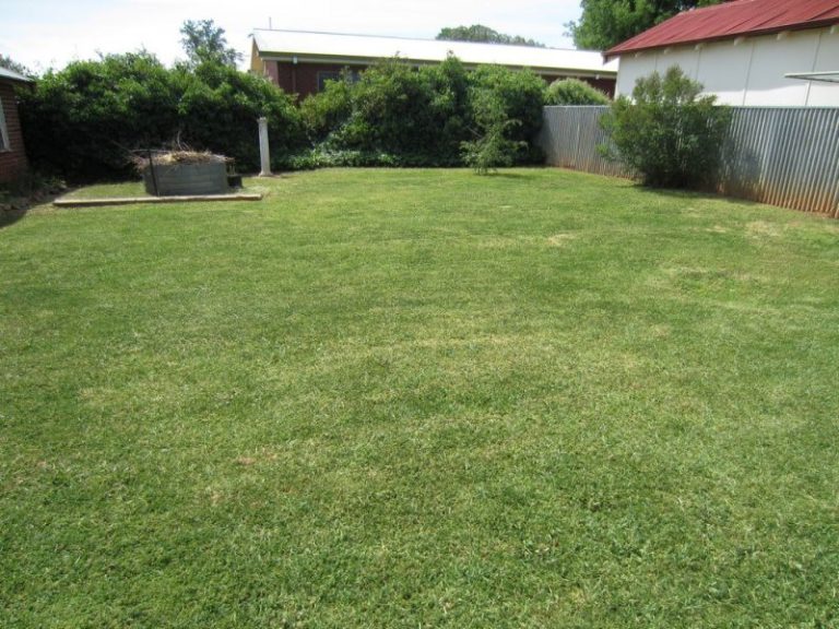 149 Loftus Street, Temora NSW 2666 - photo 17