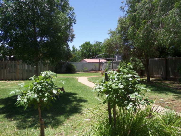 161 Larmer Street, Narrandera NSW 2700 - photo 18