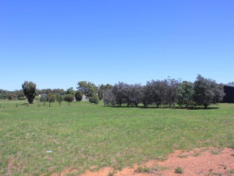 59 Bartondale Road, Temora NSW 2666 - photo 18