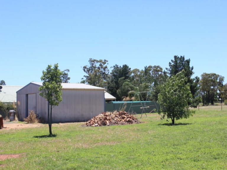 59 Bartondale Road, Temora NSW 2666 - photo 19