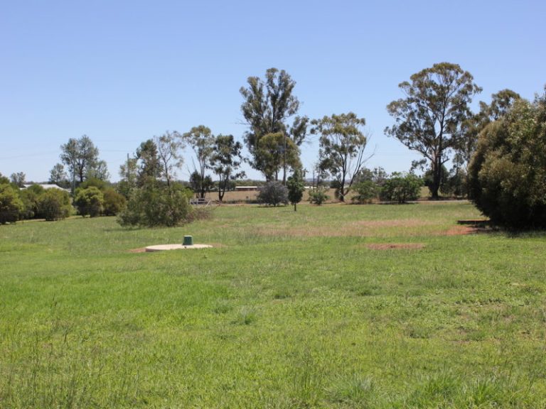 59 Bartondale Road, Temora NSW 2666 - photo 20