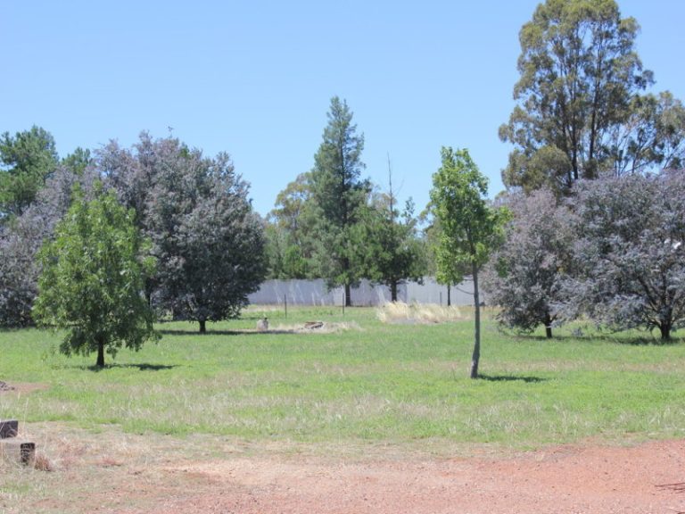 59 Bartondale Road, Temora NSW 2666 - photo 21