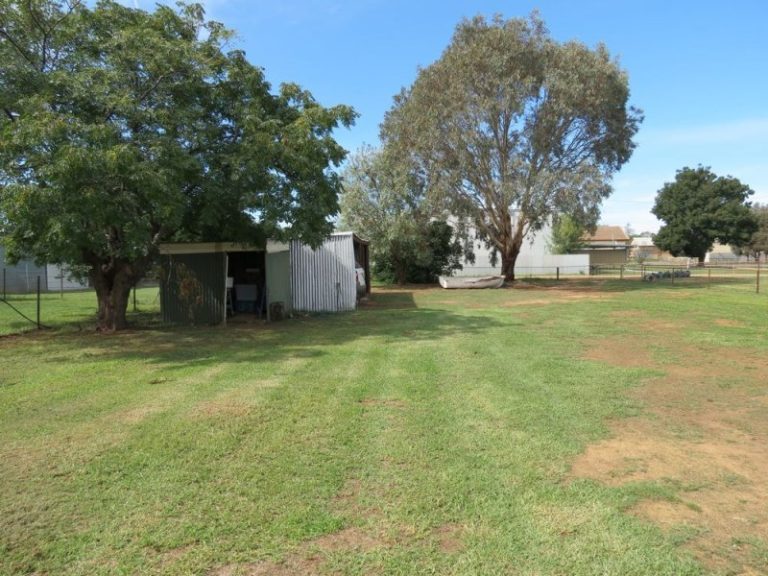 22 Third Street, Quandialla NSW 2721 - photo 16