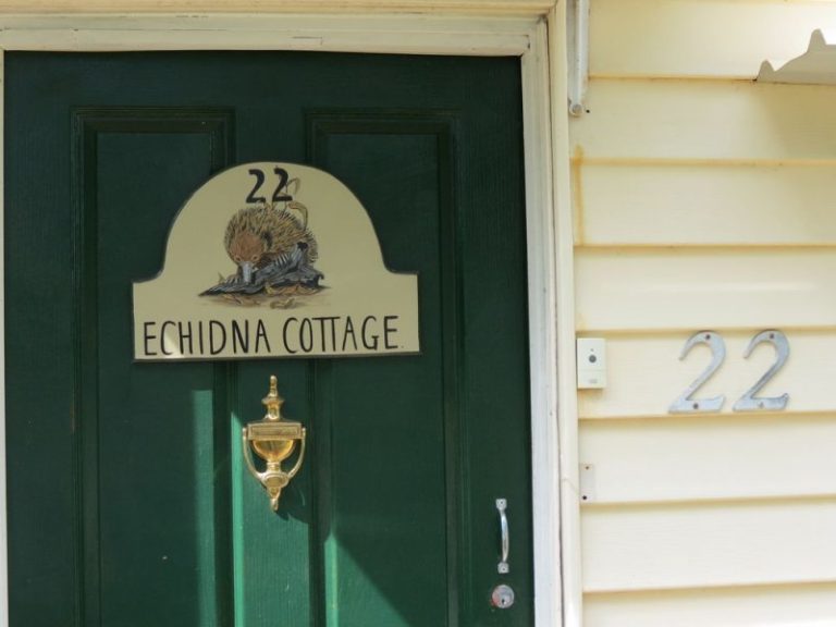 22 Third Street, Quandialla NSW 2721 - photo 17