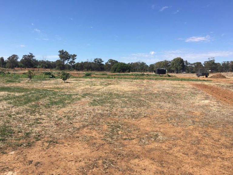 68 Ashelford Street, Temora NSW 2666 - photo 17
