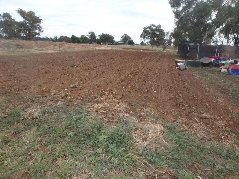 68 Ashelford Street, Temora NSW 2666 - photo 19