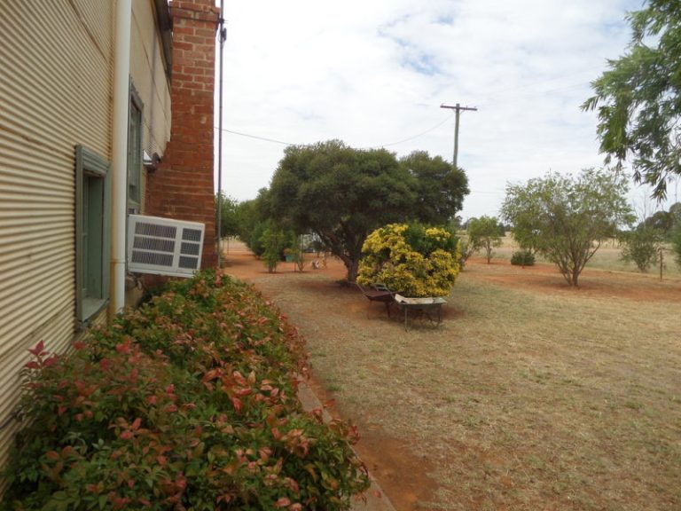 76 Boree Street, Grong Grong NSW 2652 - photo 11