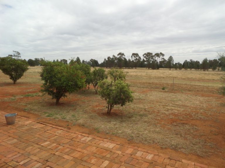 76 Boree Street, Grong Grong NSW 2652 - photo 21