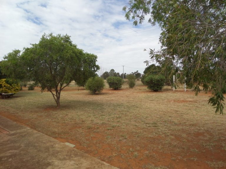 76 Boree Street, Grong Grong NSW 2652 - photo 10