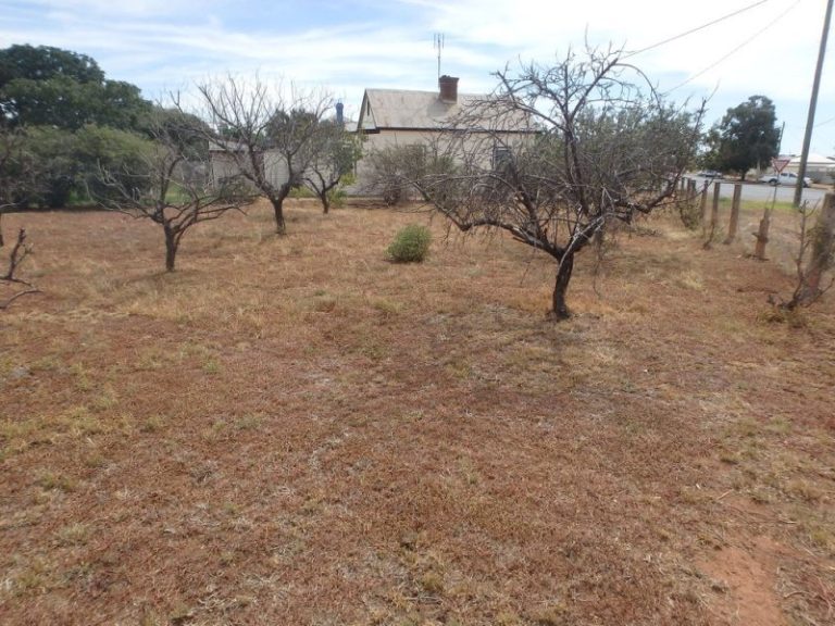 216 DeBoos Street, Temora NSW 2666 - photo 18