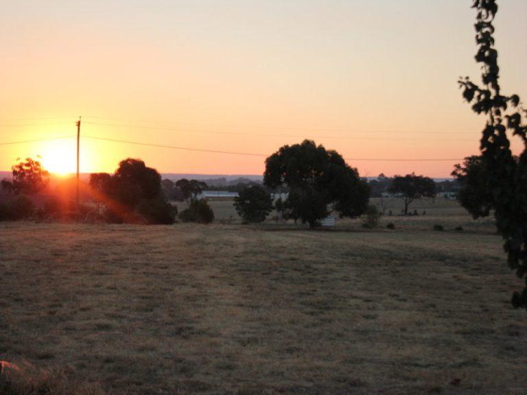 3 Rosella Street, Temora NSW 2666 - photo 14