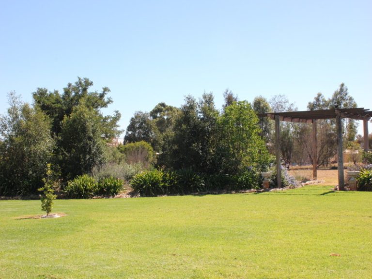 3 Rosella Street, Temora NSW 2666 - photo 16