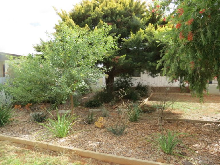 85 Bendee Street, Barellan NSW 2665 - photo 13