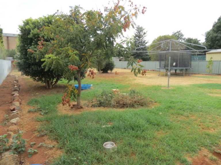 85 Bendee Street, Barellan NSW 2665 - photo 14