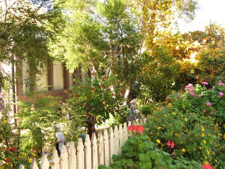 35 Ashton Street, Ariah Park NSW 2665 - photo 25