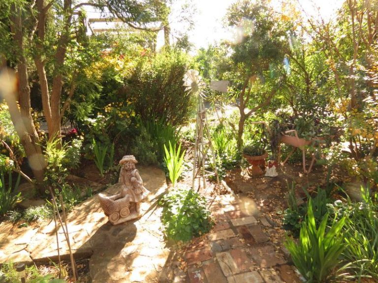 35 Ashton Street, Ariah Park NSW 2665 - photo 26