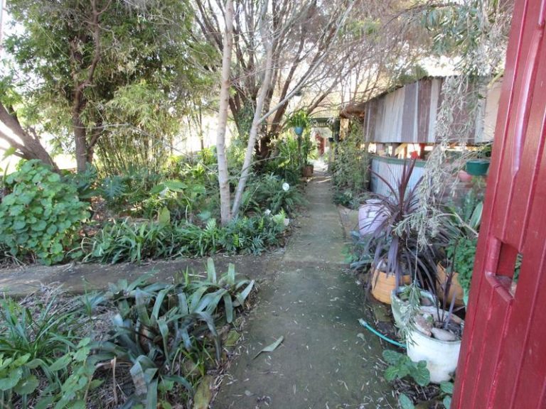 35 Ashton Street, Ariah Park NSW 2665 - photo 29