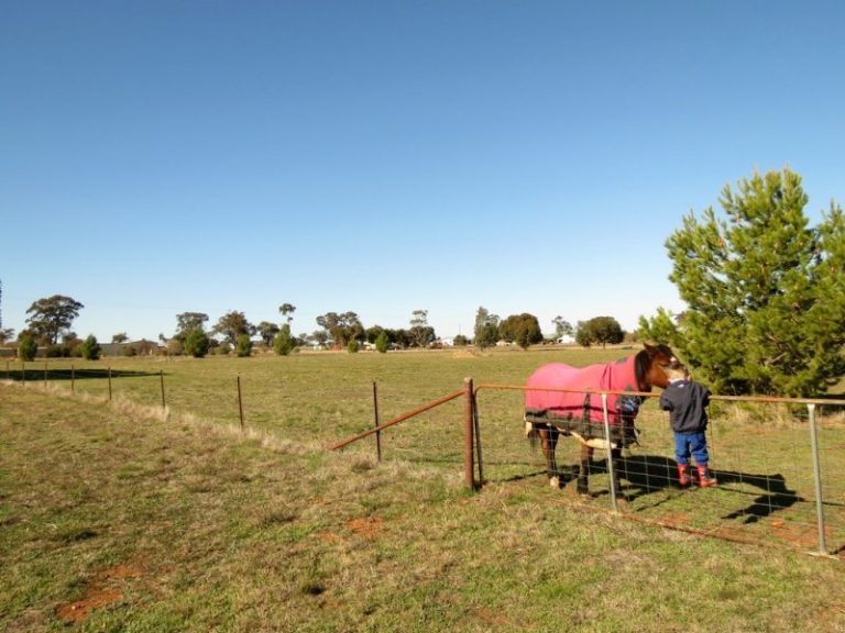 4 Kurrawong Street, Temora NSW 2666 - photo 19