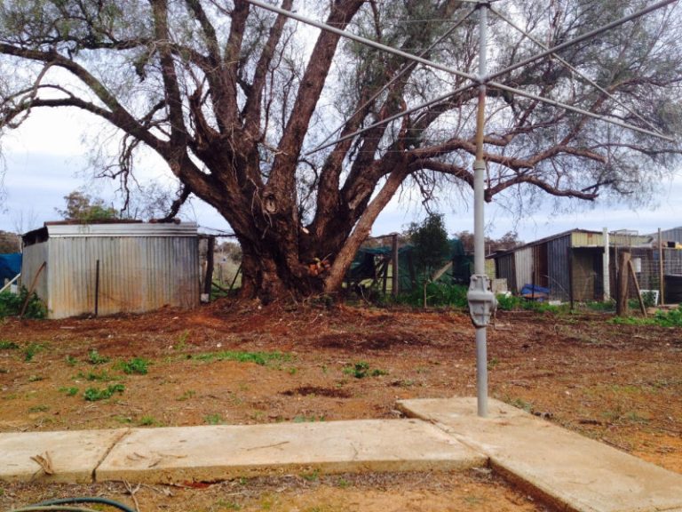 76 Ashelford Street, Temora NSW 2666 - photo 17