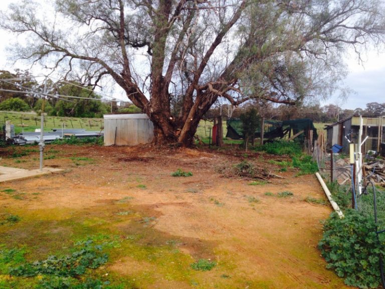 76 Ashelford Street, Temora NSW 2666 - photo 18