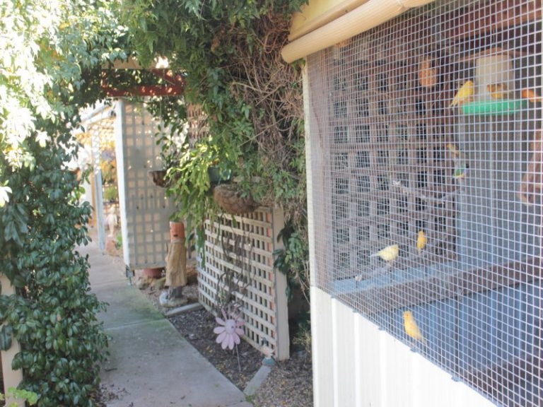 18 Cambria Street, Stockinbingal NSW 2725 - photo 11