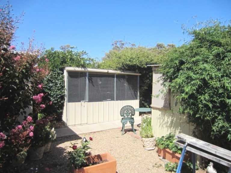 18 Cambria Street, Stockinbingal NSW 2725 - photo 19