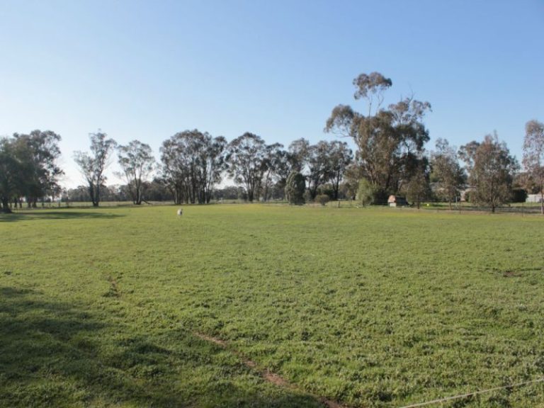 18 Cambria Street, Stockinbingal NSW 2725 - photo 4