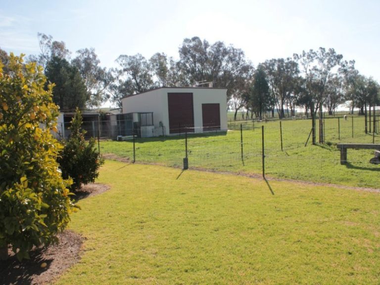 18 Cambria Street, Stockinbingal NSW 2725 - photo 9