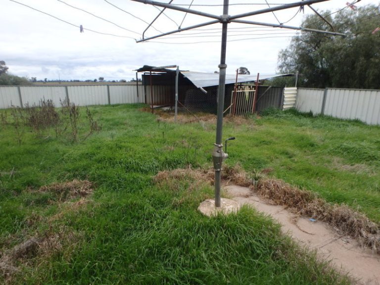1341 Bland Estate Road, Quandialla NSW 2721 - photo 15