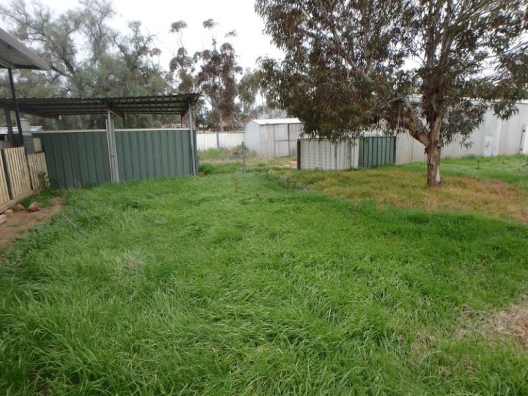 1341 Bland Estate Road, Quandialla NSW 2721 - photo 16