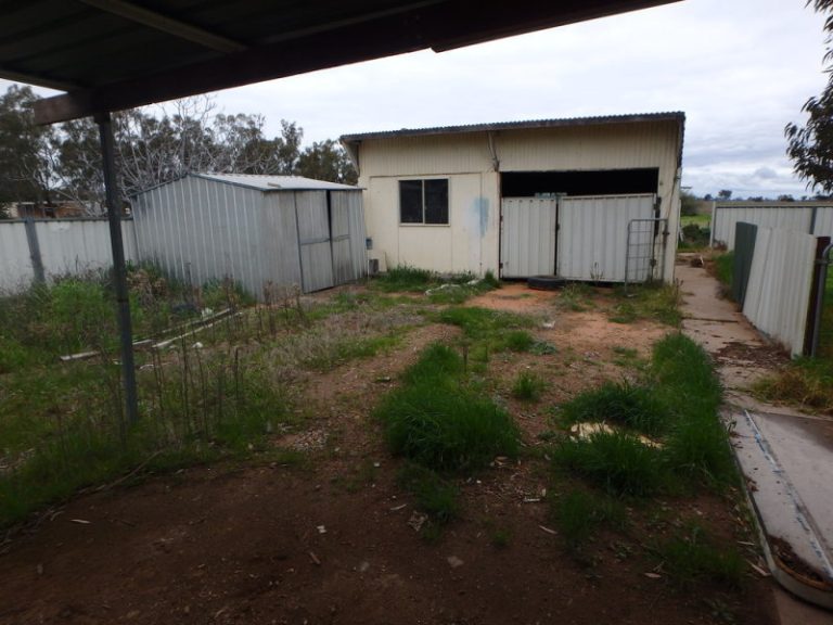 1341 Bland Estate Road, Quandialla NSW 2721 - photo 17