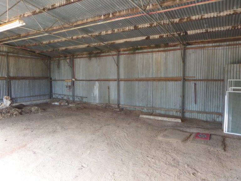 29 Frederica Street, Narrandera NSW 2700 - photo 13