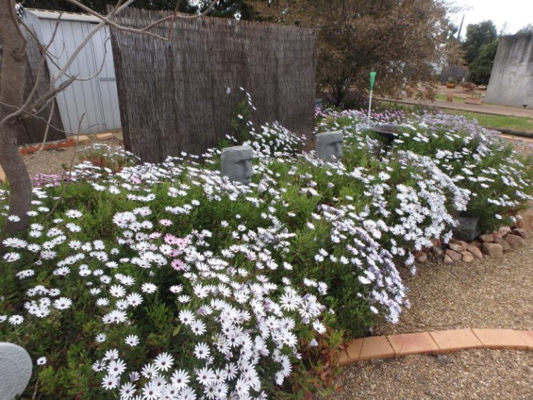 Cnr Glasso Talbot Streets, Quandialla NSW 2721 - photo 13