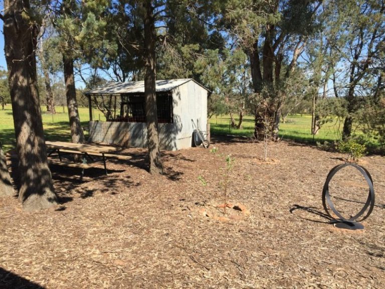 141 River Street, Narrandera NSW 2700 - photo 17